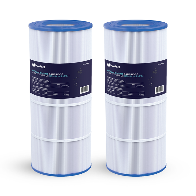 Cartouche Pentair Clean & Clear RP 100 pi²