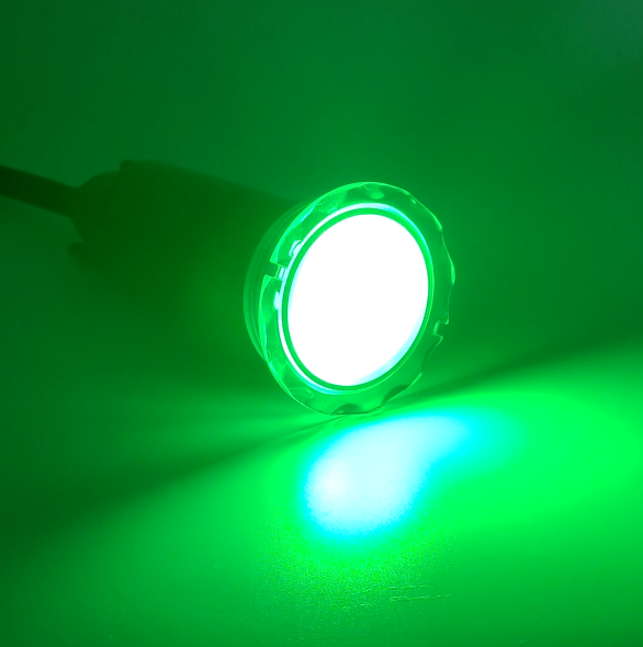 Mini LED Moov de 1,5" y cable de 100'
