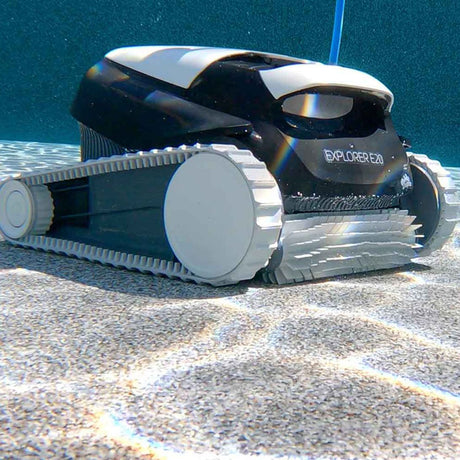 Explorador de delfines E20