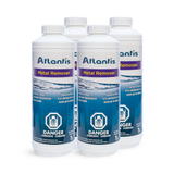 Metal remover - 1L