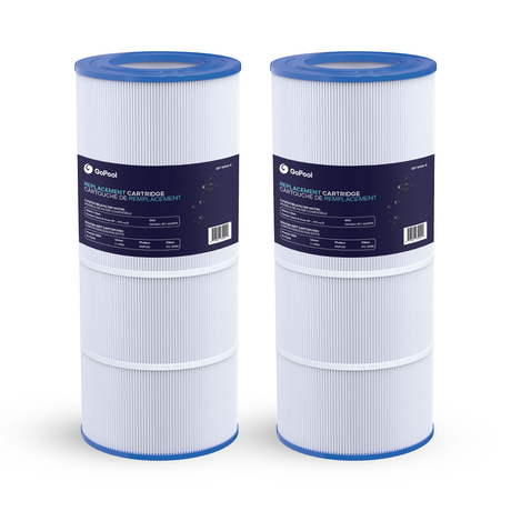 Cartouche Pentair Clean & Clear RP 100 pi²