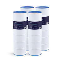 Cartouche Hayward Star-Clear Plus / Sta-Rite Posi-Clear 175 pi²