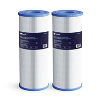 Cartouche Hayward Micro Star-Clear 25 pi²