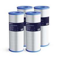 Cartouche Hayward Micro Star-Clear 25 pi²