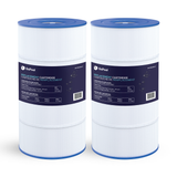 Cartouche Hayward SwimClear / CF1 Single Cartridge 100 pi²