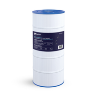 Cartouche Hayward SwimClear / CF1 Single Cartridge 150 pi²