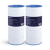 Cartouche Hayward SwimClear / CF1 Single Cartridge 150 pi²