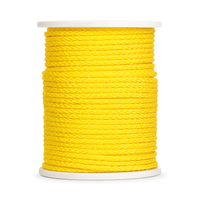 Corde Jaune 1/4'' - Rouleau de 1300' - Attache pour Filet Mesh