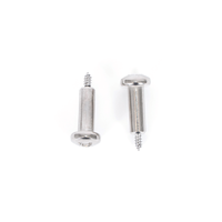 IG2 hinge screws for cover